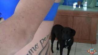 Inked Bayek Sawijining Cleo seneng kanggo menehi tangan ngewangi nalika amba kontol perlu kanggo nerbitaké kaku, malah luwih yen dheweke bisa njaluk anget cum kabeh liwat dheweke susu! Supaya becik! Full Video &amp;amp; Kabeh Saka Sawijining Cleo @ ItsCleoLive.com!