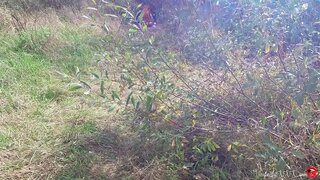 ���गन्तुक गडबड Catwoman मुख मा मनन पछि जंगल मा